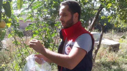 Söke'de tarımsal verim için önleyici çalışmalar sürüyor