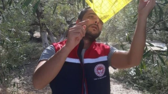Söke'de tarımsal verim için önleyici çalışmalar sürüyor