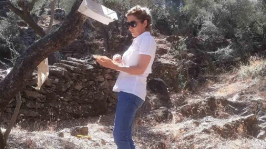 Söke'de zararlı popülasyonunda artış gözlemlendi