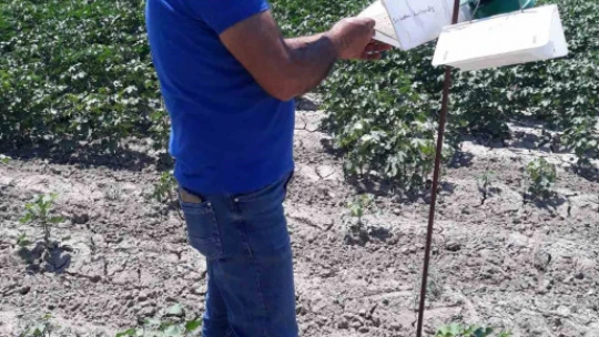 Söke'de zararlı sinek tuzakları kontrol edildi