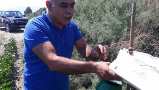 Söke'de zararlı sinek tuzakları kontrol edildi