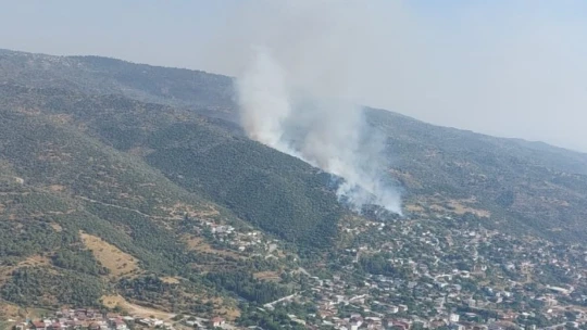 Söke'de zirai alan yangını
