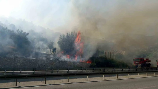 Söke'deki yangın kontrol altına alındı