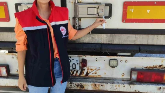 Söke'den Rusya ve İtalya'ya balık ihracatı