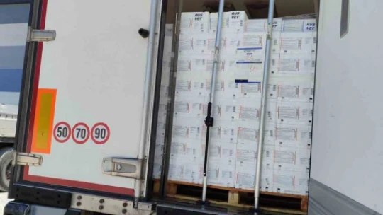 Söke'den Rusya'ya ihraç edilecek balıklar için sağlık kontrolü