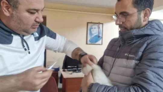 Söke ilçe tarımdan 'çip ve aşı' çağrısı