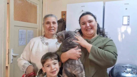 Söke ilçe tarımdan 'çip ve aşı' çağrısı