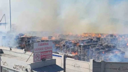 Söke Kipaş Kağıt Fabrikası'nda yangın