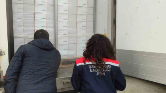 Söke'nin balıkları, Rusya ve İtalya yolcusu