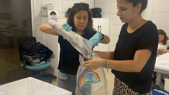 Söke'nin tarımsal kayıtlılık oranı dikkat çekti