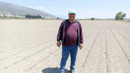 Söke Ovası'nda susuzluk sıkıntısı had safhaya ulaştı