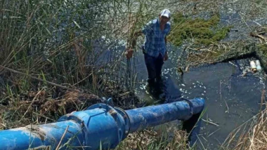 Söke Ovası'nda susuzluk sıkıntısı had safhaya ulaştı