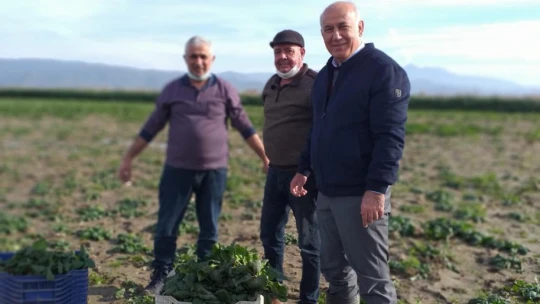 Söke Belediyesi, tarımsal üretimden uzak kalmayacak