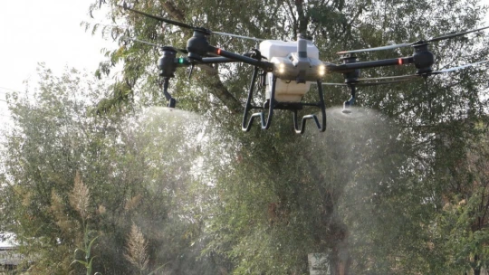 Sökeli üreticilere drone ile ilaçlama uyarısı
