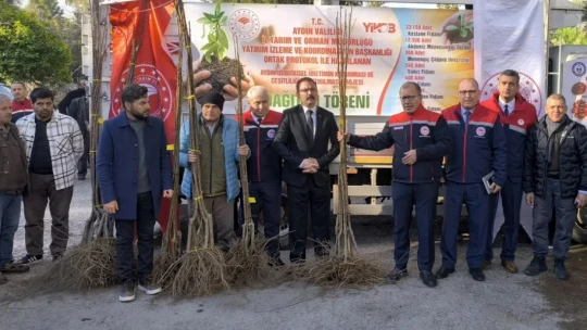 Sultanhisar'da 6 bin kestane fidanı dağıtıldı