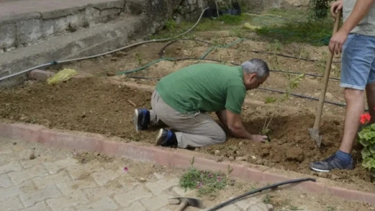 Sultanhisar'da fidanlar toprakla buluştu