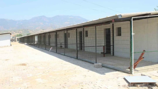 Sultanhisar'da hayvan barınağı projesinde geri sayım başladı