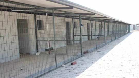 Sultanhisar'da hayvan barınağı projesinde geri sayım başladı