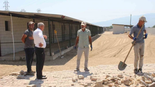 Sultanhisar'da hayvan barınağı projesinde geri sayım başladı
