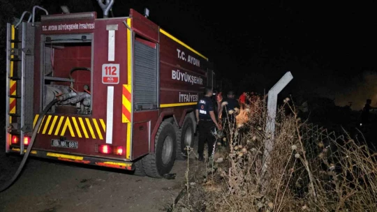 Sultanhisar'daki yangın büyük ölçüde kontrol altına alındı