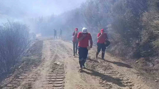 Sultanhisar yangını kontrol altına alındı