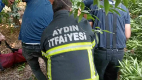 Sürücüsünün kontrolünü kaybettiği tır, karşı şeride geçip bahçeye devrildi