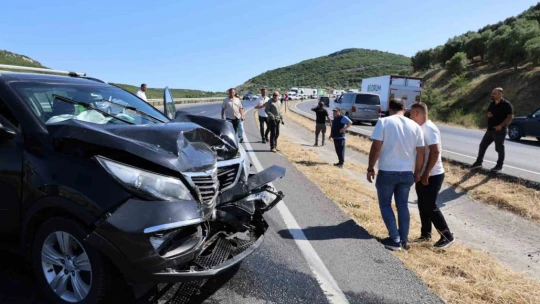 Tankerden dökülen balık yağı karayolunu savaş alanına çevirdi