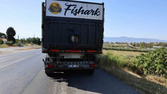 Tankerden dökülen balık yağı karayolunu savaş alanına çevirdi