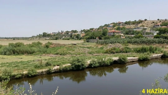 Tarihi köprüde sular yeşillendi, doğaseverler sorunlara dikkat çekti