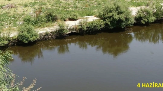Tarihi köprüde sular yeşillendi, doğaseverler sorunlara dikkat çekti