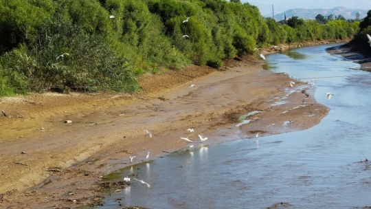 Tarihi köprüde sular yeşillendi, doğaseverler sorunlara dikkat çekti