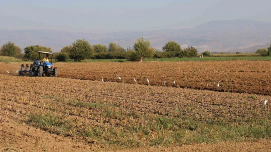 Tarlada çalışacak işçi bulamayınca 3 bin 500 kilometre yol kat edip babasına yardıma geliyor