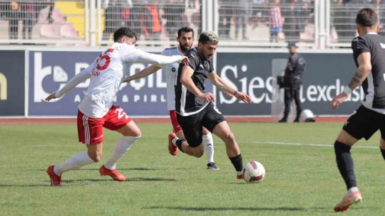 TFF 3. Lig: Batman Petrol Spor: 2 - Efeler 09 SFK: 2