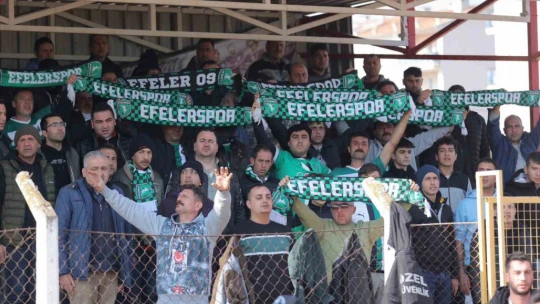 TFF 3. Lig: Efeler 09 SFK: 3 - Sapanca Gençlikspor: 2