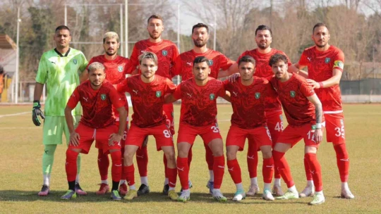 TFF 3. Lig: Efeler 09 SFK: 3 - Sapanca Gençlikspor: 2