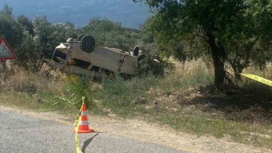 Ticari araç zeytinliğe uçtu: 1 ölü