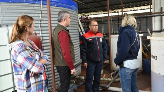 Topraksız tarımsal üretim yapan serada incelemelerde bulunuldu