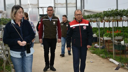 Topraksız tarımsal üretim yapan serada incelemelerde bulunuldu