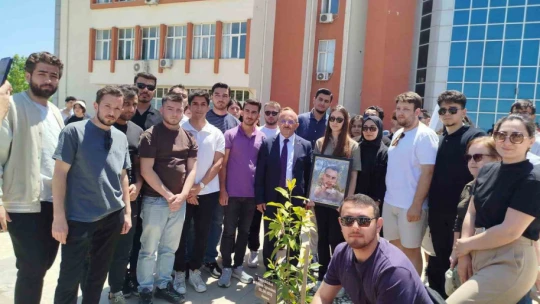 Trafik kazasında hayatını kaybeden öğrenciler için fidan diktiler