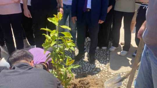 Trafik kazasında hayatını kaybeden öğrenciler için fidan diktiler