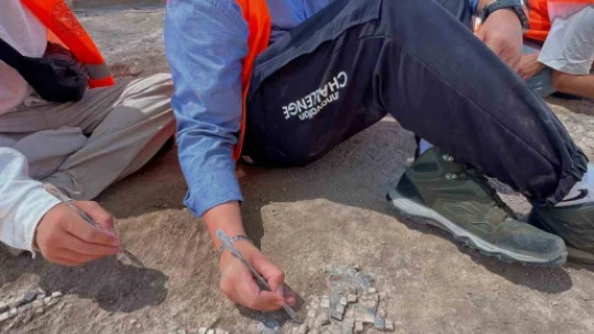 Tralleis'te çalışmalar mozaik havuzunda yoğunlaştırıldı