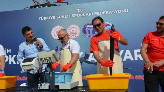 Türkiye'nin en iyi zıpkıncıları Didim açıklarında yarıştı