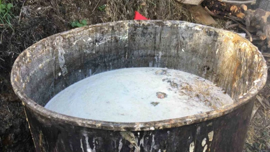 Ustalardan zeytinyağına kozmetik dokunuş