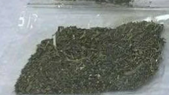Uyuşturucu ile seyahate 'hassas burun' engeli: 3 gözaltı