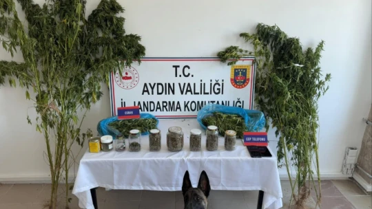 Uyuşturucu taciri jandarmadan kaçamadı
