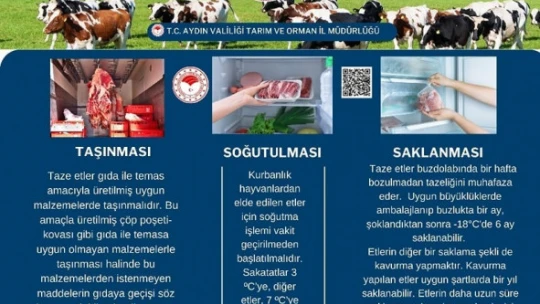 Uzmanlar uyardı: 'Taze etler şoklandıktan sonra eksi 18 derecede 6 ay saklanabilir'