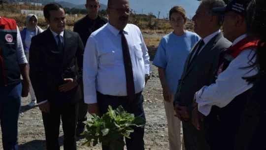 Vali Canbolat incir hasadına katıldı
