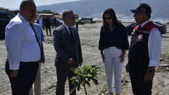 Vali Canbolat incir hasadına katıldı