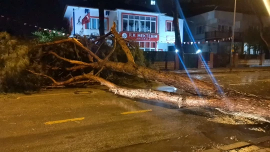 Nazilli'de bilanço belli oldu