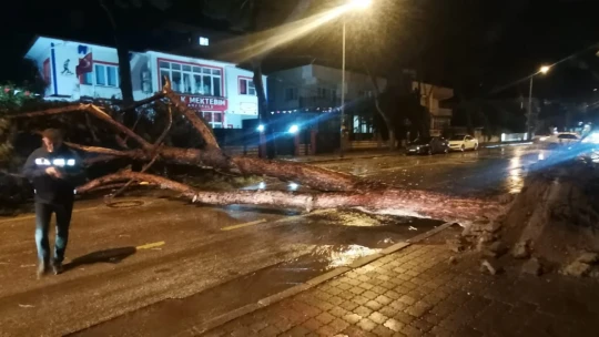 Nazilli'de bilanço belli oldu